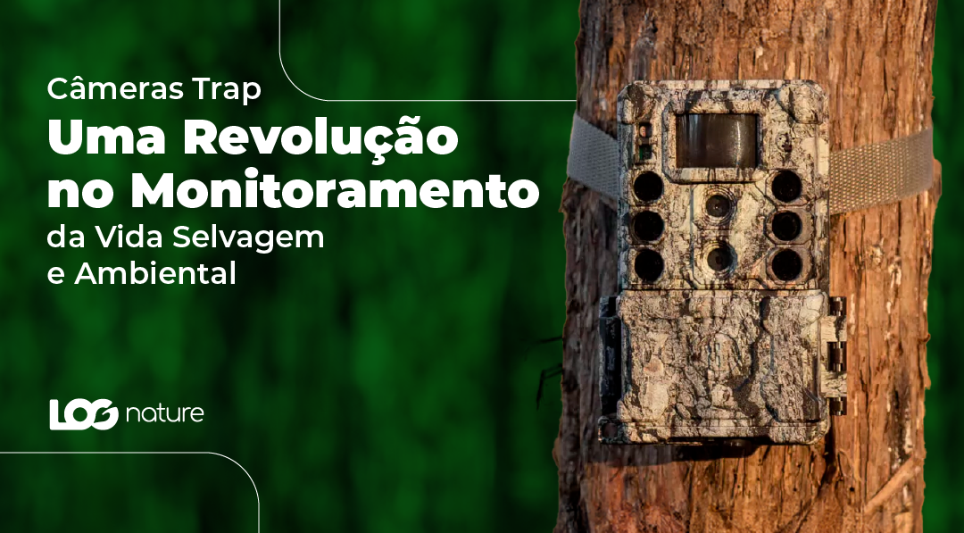 Câmeras Trap - Uma revolução no monitoramento da vida selvagem e ambiental