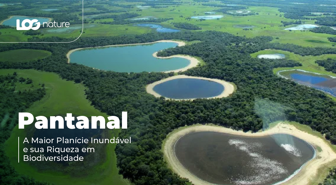 Pantanal: A Maior Planície Inundável e sua Riqueza em Biodiversidade