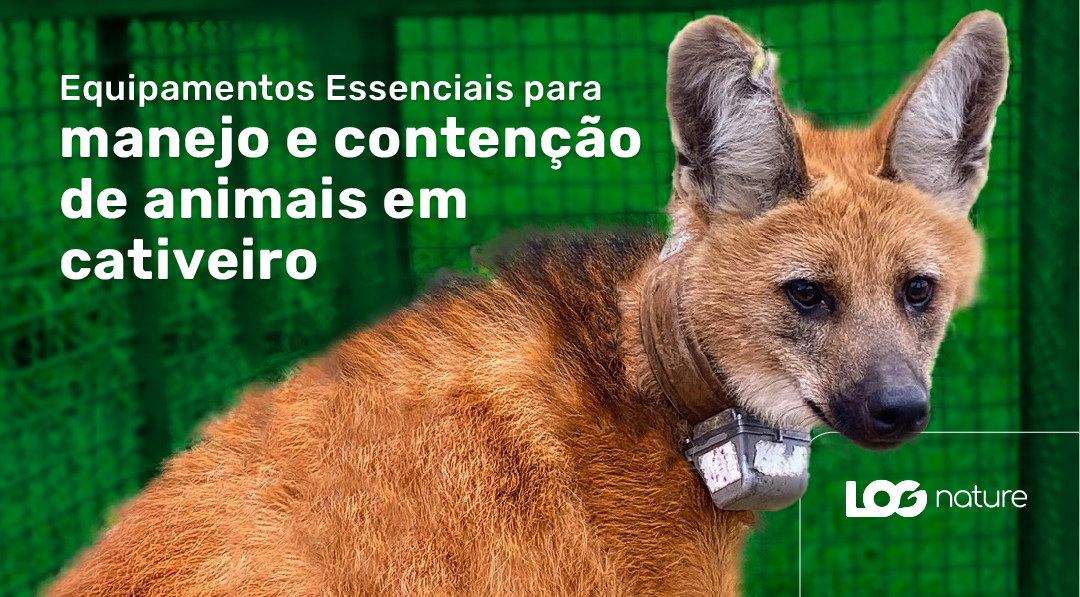 Manejo e contenção de animais em cativeiro