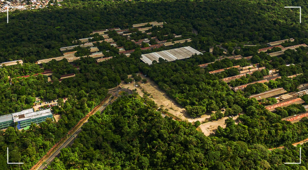 Conservar em meio à cidade: o que uma universidade imersa na floresta pode nos ensinar
