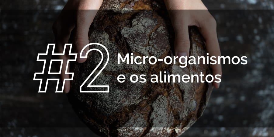 Micro-organismos e os alimentos
