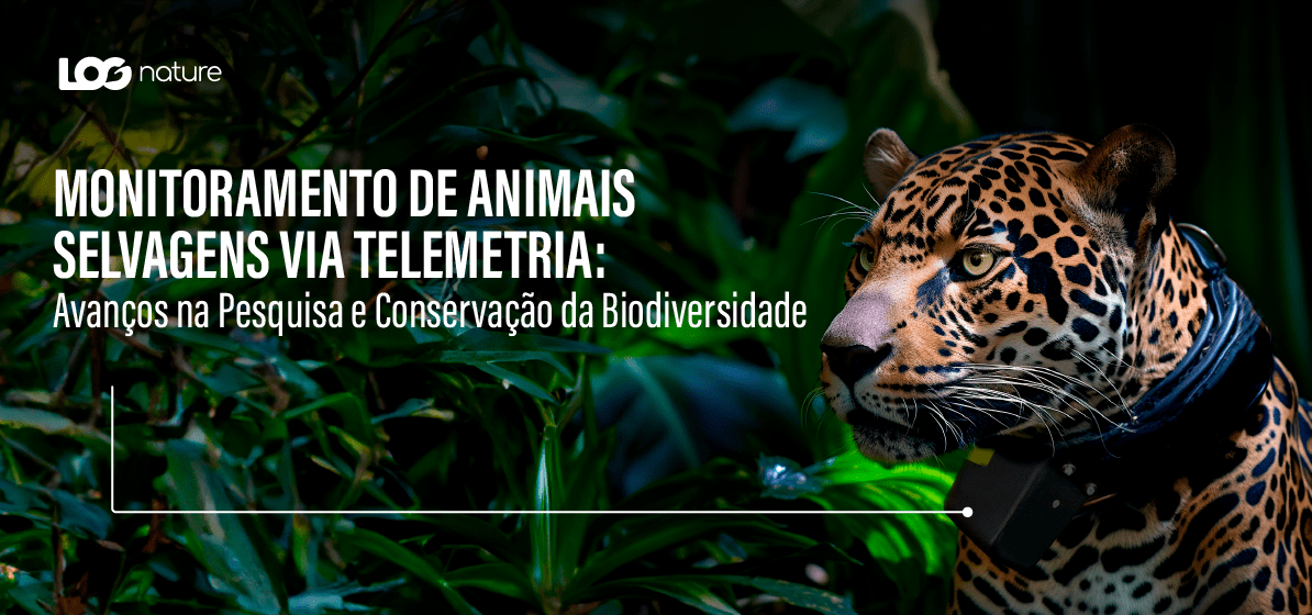 Monitoramento de Animais Selvagens via Telemetria: Avanços na Pesquisa e Conservação da Biodiversidade