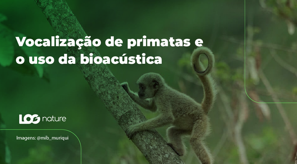 Vocalização de primatas e uso da bioacústica