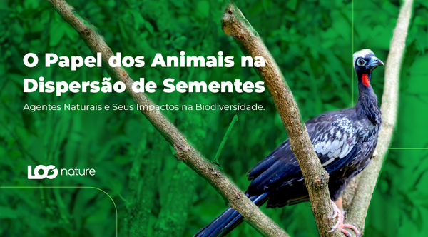 O Papel dos Animais na Dispersão de Sementes: Agentes Naturais e Seus Impactos na Biodiversidade.