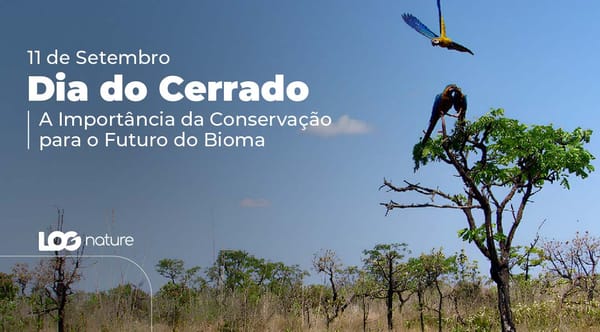 Dia do Cerrado: A Importância da Conservação para o Futuro do Bioma.