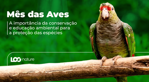 Mês das Aves: A Importância da Conservação e Educação Ambiental para a Proteção das Espécies