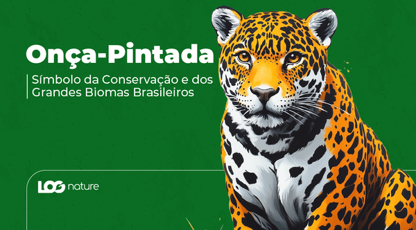 Onça-Pintada: Símbolo da Conservação e dos Grandes Biomas Brasileiros