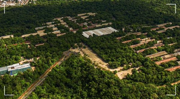 Conservar em meio à cidade: o que uma universidade imersa na floresta pode nos ensinar
