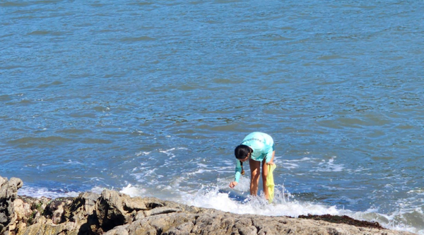 A importância dos projetos de conservação