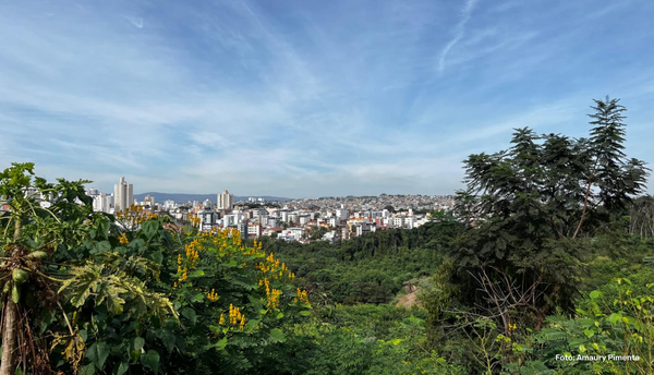 Avistavis: educação ambiental e registro de aves em área urbana de Belo Horizonte