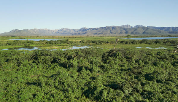 Conectividade e conservação: O papel estratégico da Serra do Amolar no Pantanal
