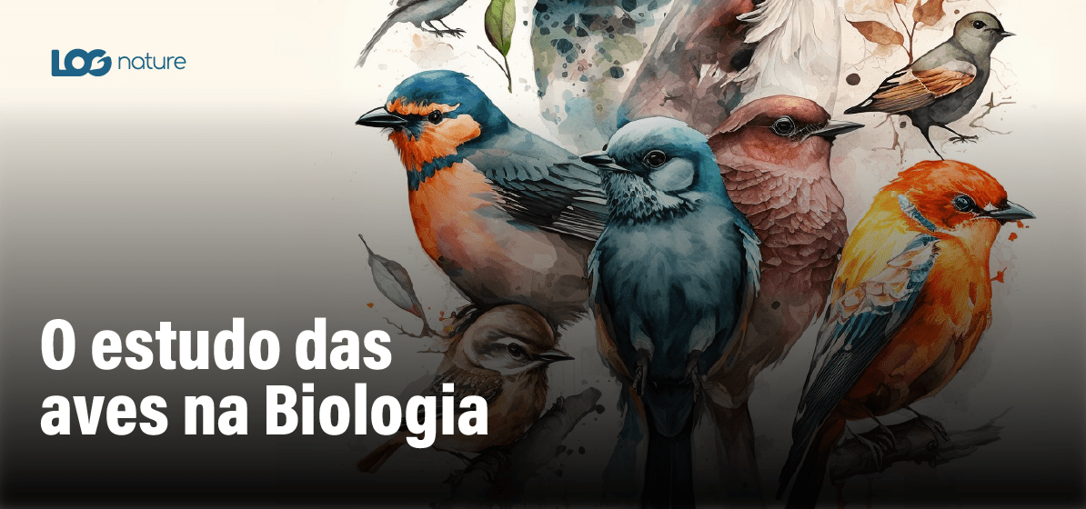 Estudo das Aves na Biologia