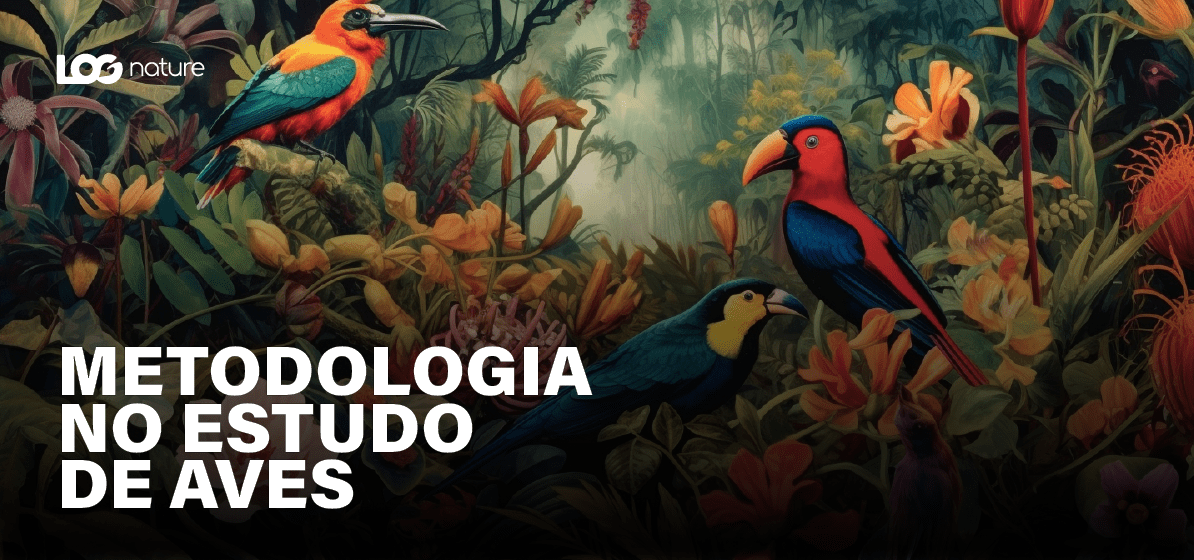 Metodologia no estudo de aves