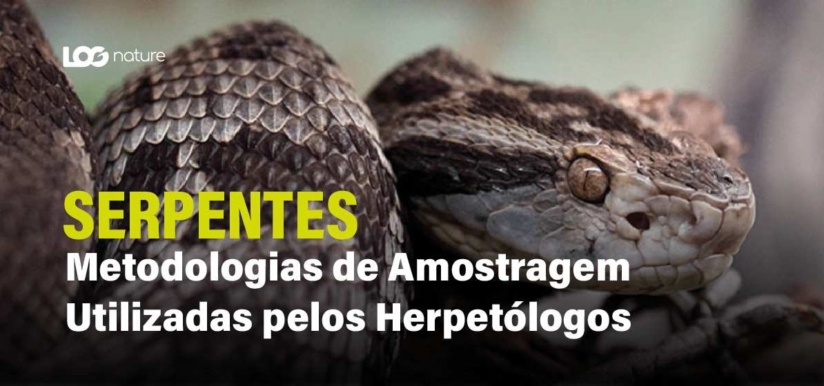 A Importância das Serpentes nos Ecossistemas e Metodologias de Amostragem Utilizadas pelos Herpetólogos