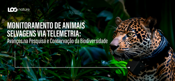 Monitoramento de Animais Selvagens via Telemetria: Avanços na Pesquisa e Conservação da Biodiversidade