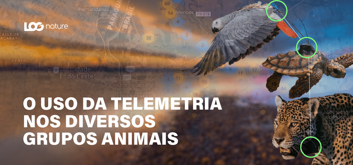 O Uso da Telemetria nos Diversos Grupos Animais