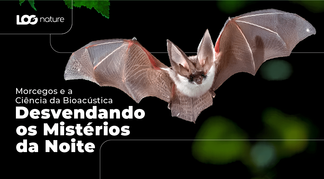 Desvendando os Mistérios da Noite: Morcegos e a Ciência da Bioacústica